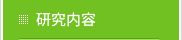 研究内容